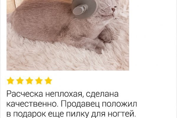 Что с кракеном сайт