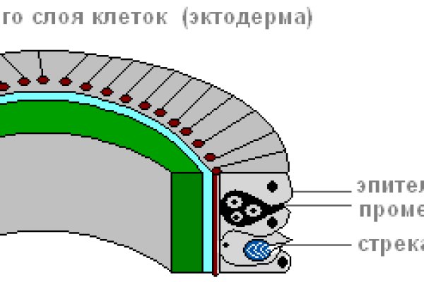 Кракен ссылка официальная в тор