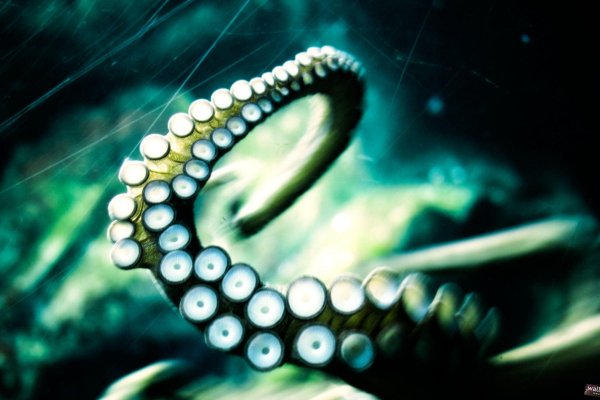 Kraken сайт вход
