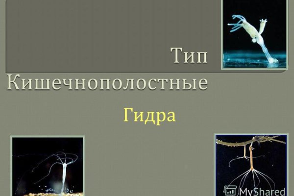 Рабочее зеркало кракен store