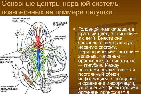 Кракен рабочее на сегодня сайт